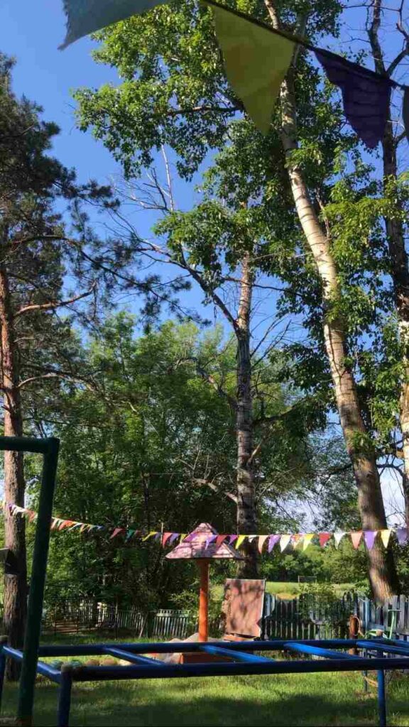 тополя создают угрозу юным амурчанам