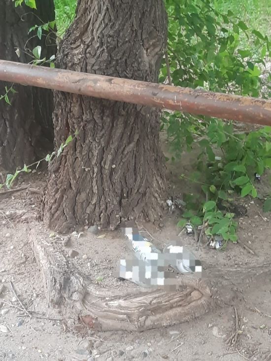 Фото: Амур.инфо