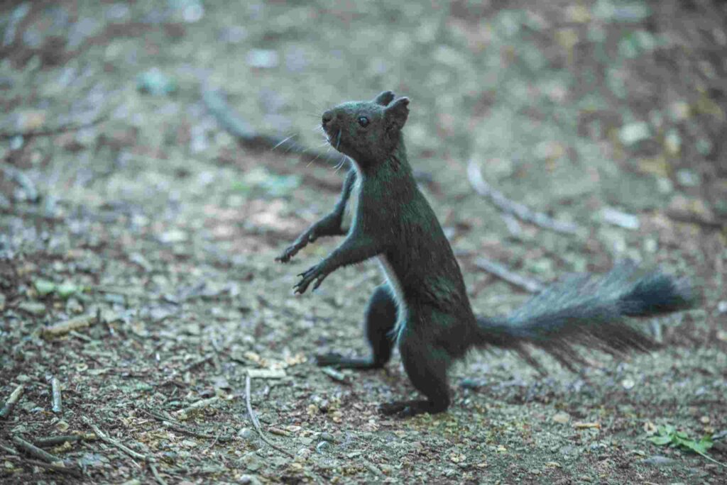 где отдохнуть в Благовещенске, пешие прогулки по Благовещенску, красивые места Благовещенска