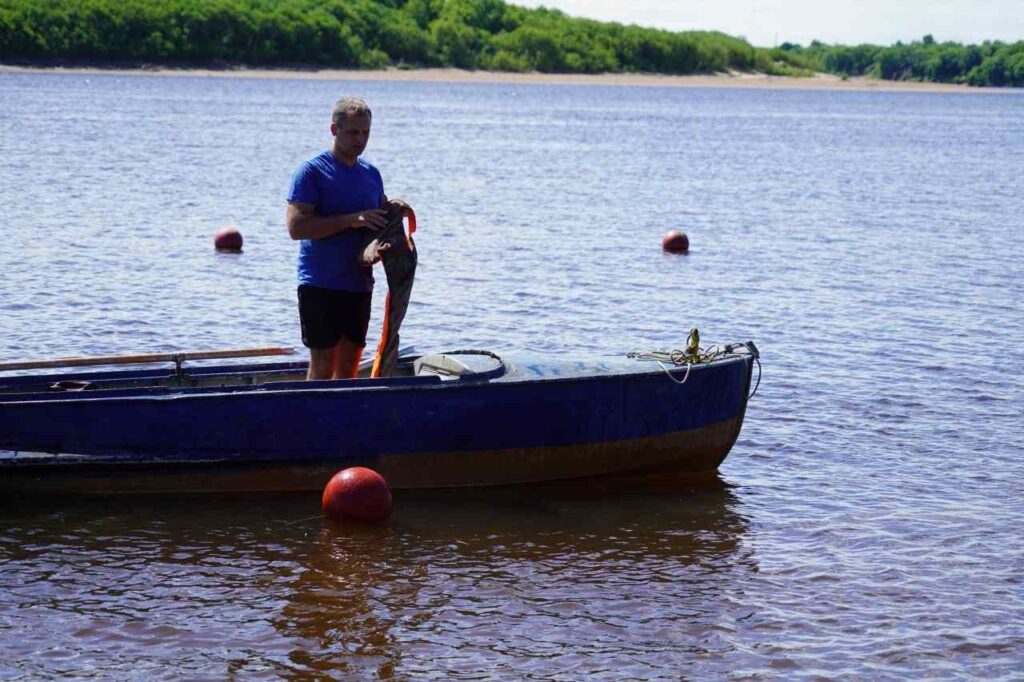 пляж не берегу Зеи, Свободный
