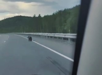 Фото: амурский минтранс