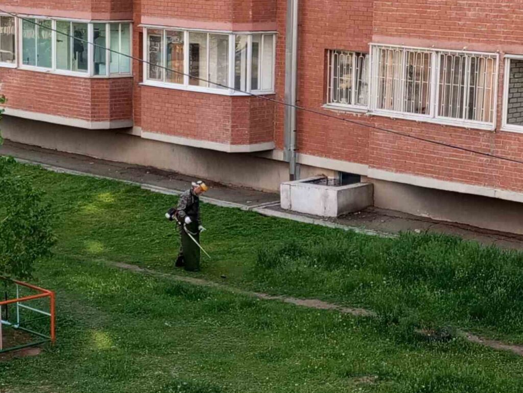 Утренние покосы не отменят: мэр Благовещенска ответил недовольным