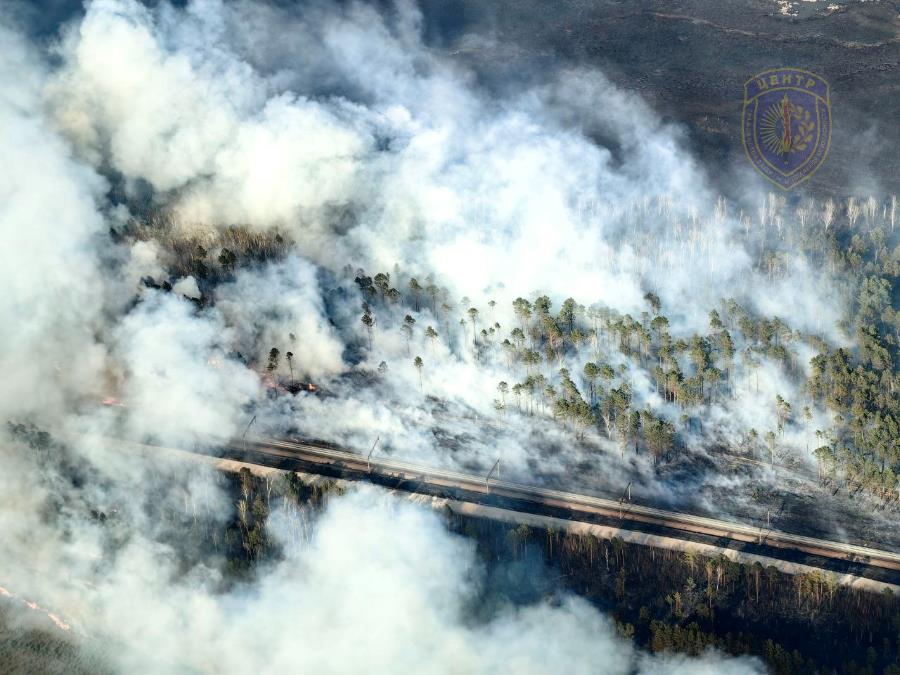 Фото: телеграм-канал «Амурские спасатели»