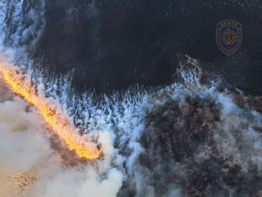 Фото: телеграм-канал «Амурские спасатели»