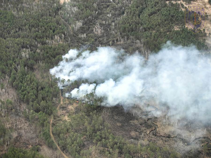 Фото: телеграм-канал «Амурские спасатели»
