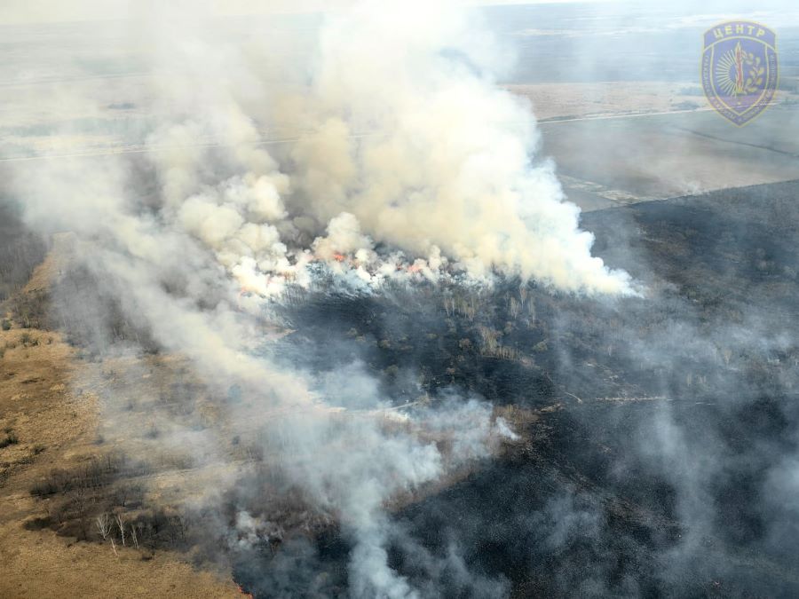 Фото: телеграм-канал «Амурские спасатели»