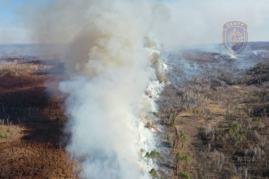 Фото: телеграм-канал «Амурские спасатели»