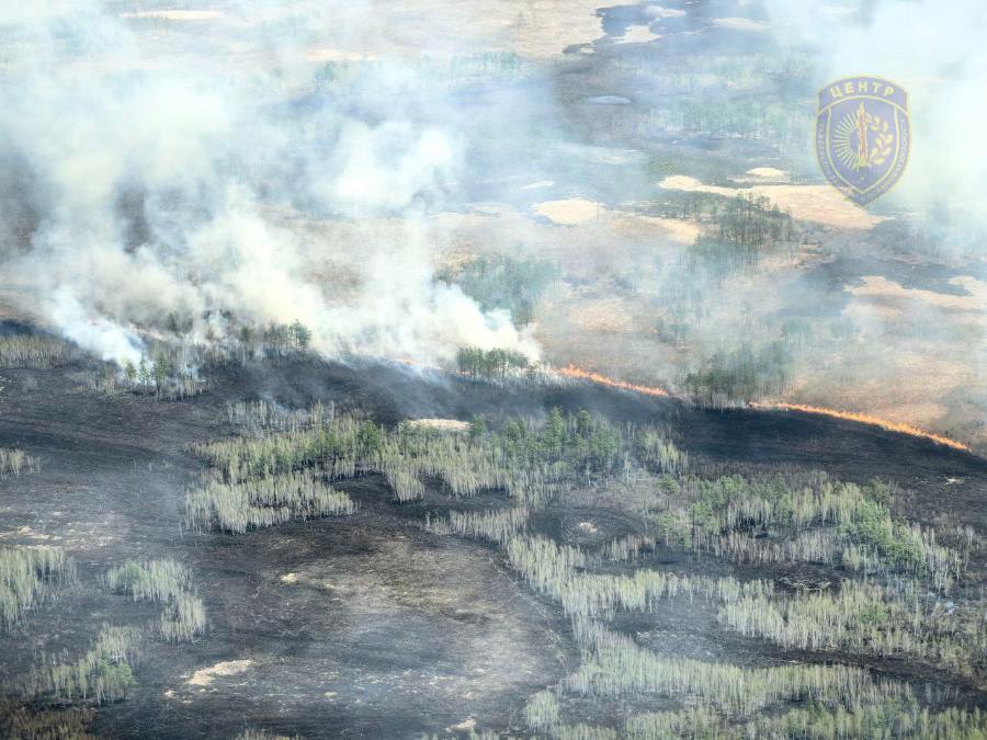 Фото: телеграм-канал «Амурские спасатели»