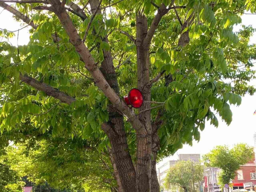 Громкоговоритель