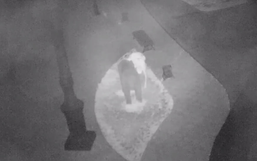 Набережная Благовещенска