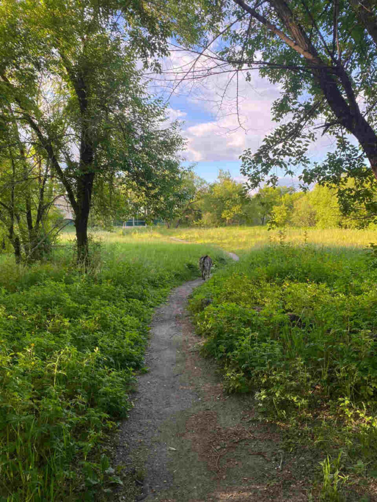 Заброшенная детская площадка