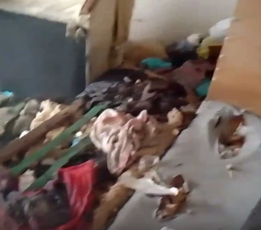 Квартира, мусор