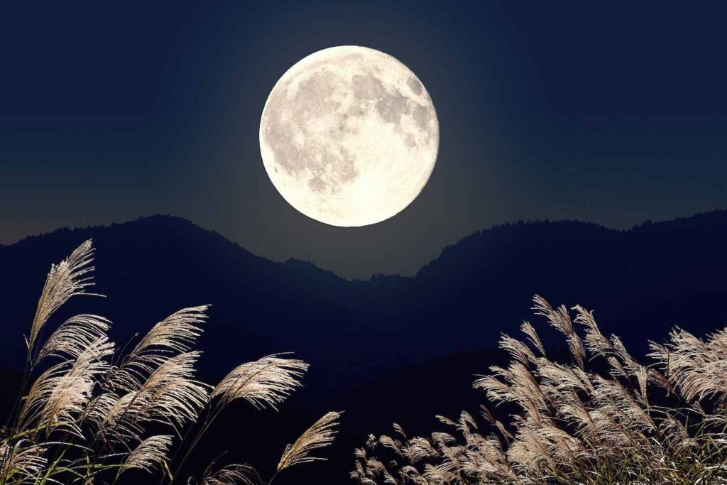 астропрогноз с 10 по 16 июня, гороскоп с 10 по 16 июня, Луна в аппозиции, влияние Луны, гороскоп на июнь