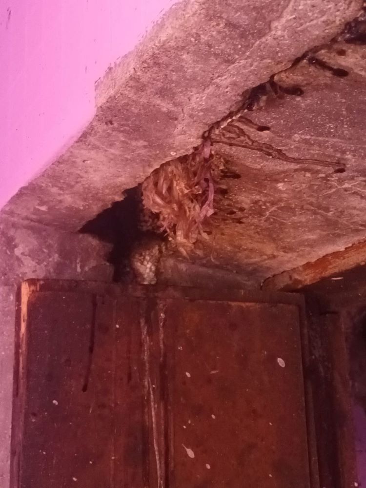 Тындинскую «управляйку» наказали за неокрашенные двери и торчащие провода