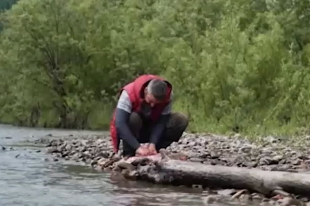 Участников шоу «Последний герой» проверит прокуратура Алтая из-за съеденной выдры