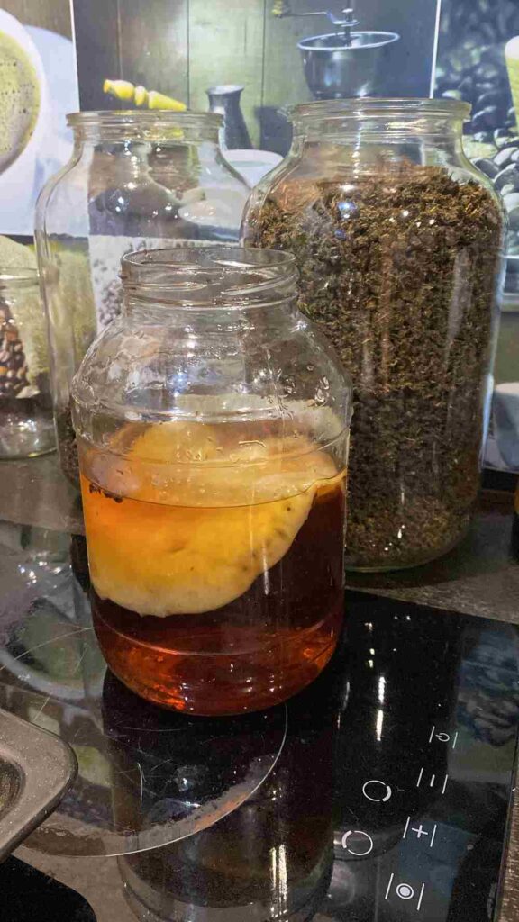 чайный гриб