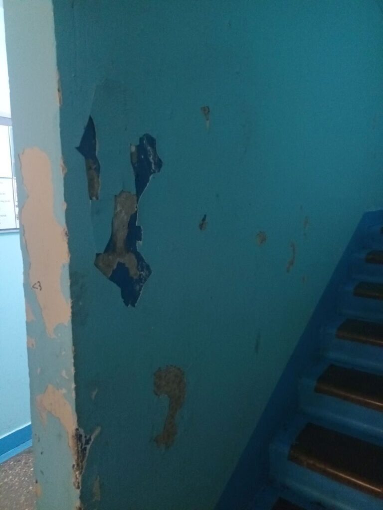 Тындинскую «управляйку» наказали за неокрашенные двери и торчащие провода