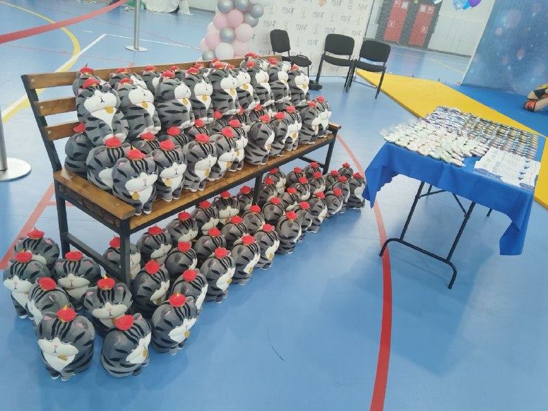 Лучшие на пилоне: в Благовещенске прошел открытый кубок по женским видам спорта