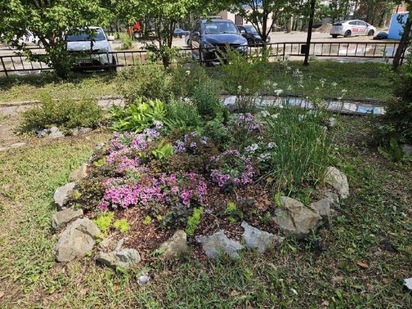 Душевно о любви: во дворах Благовещенска появились тематические клумбы