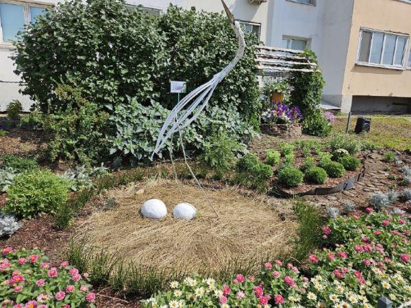 Душевно о любви: во дворах Благовещенска появились тематические клумбы