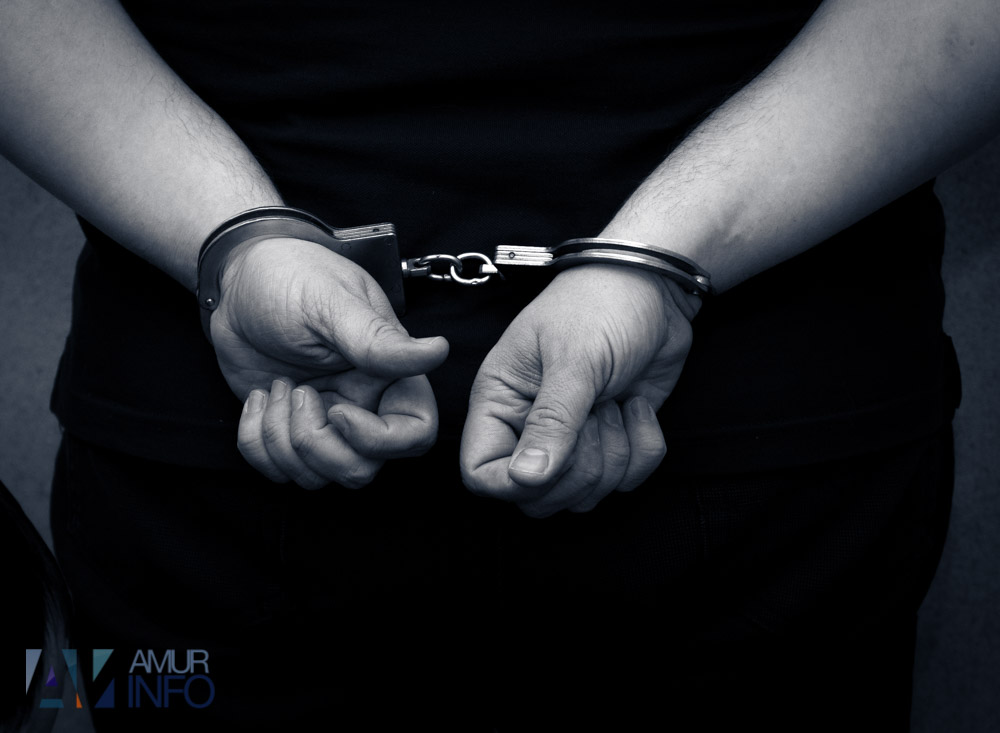 Двоих амурчан будут судить за нездоровую любовь к экологичному транспорту