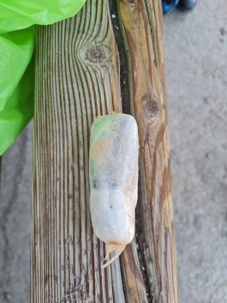 В амурскую колонию пытались передать наркотики, спрятанные в десерте