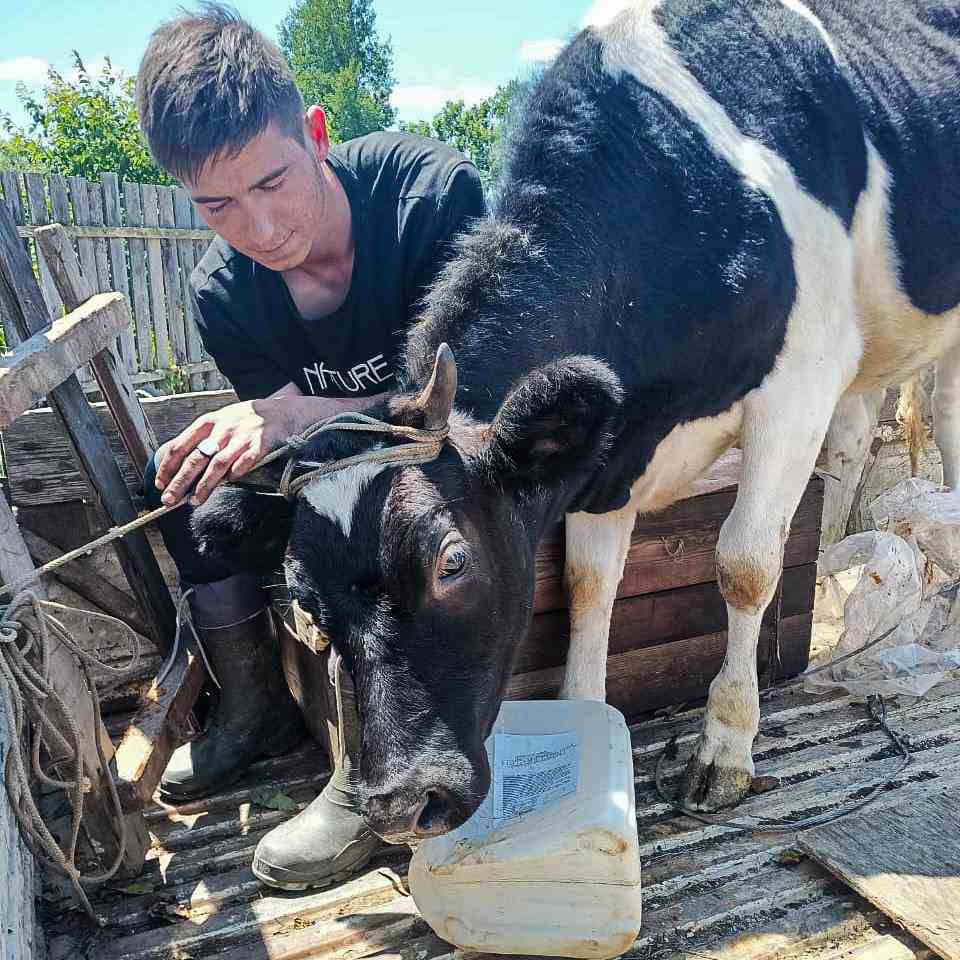 Центр «Амурский тигр», возмещение ущерба фермерам