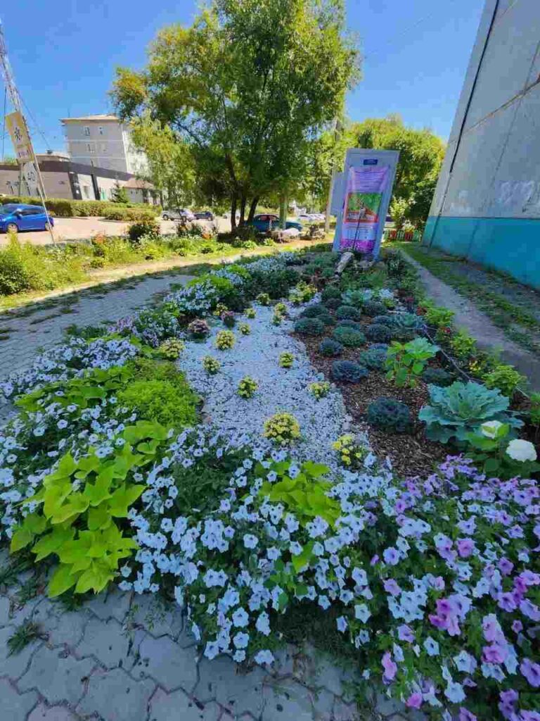 город в цвете