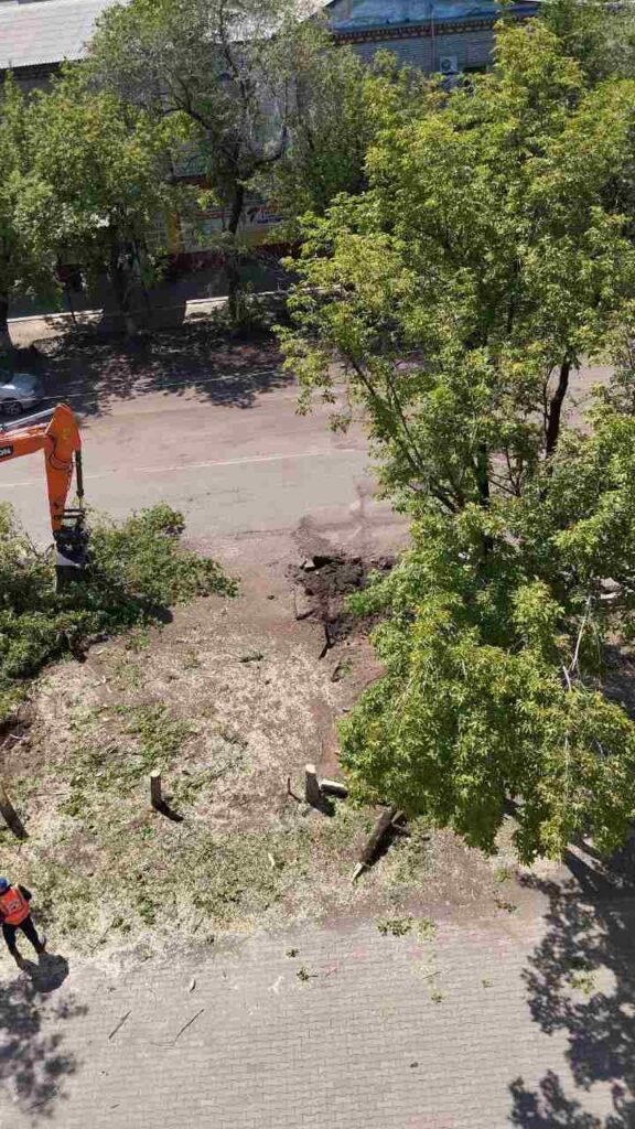 Благовещенск, спил деревьев