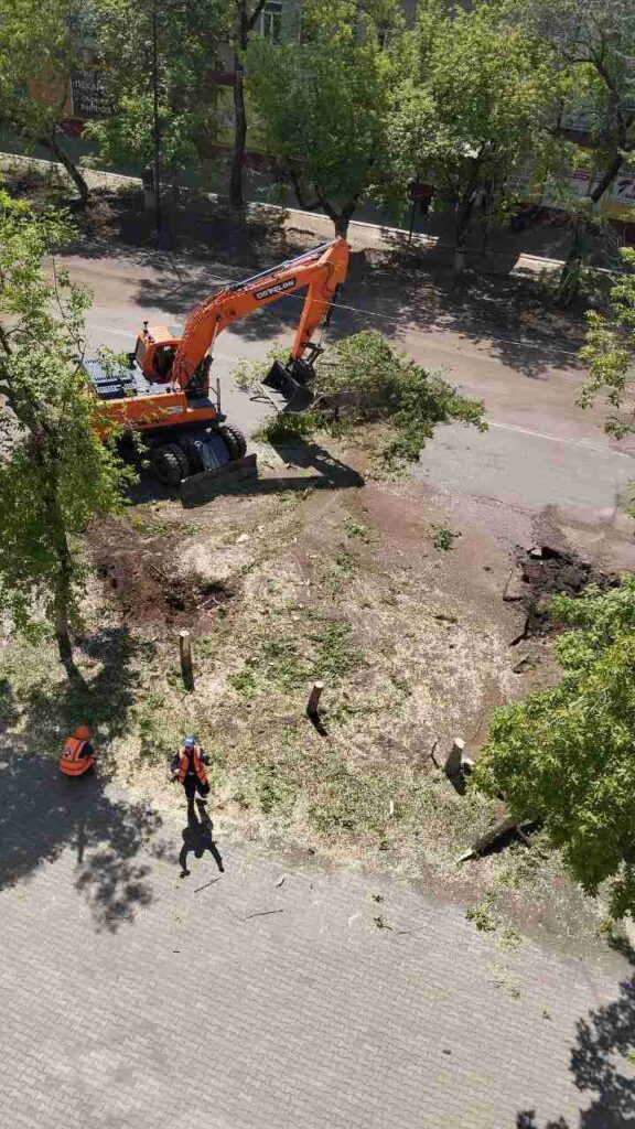 Благовещенск, спил деревьев