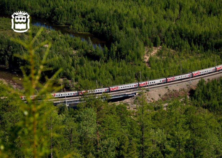 Фото: пресс-служба правительства Амурской области