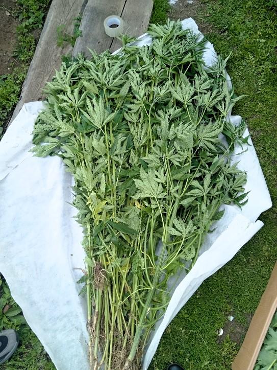 Фото: администрация города Райчихинск