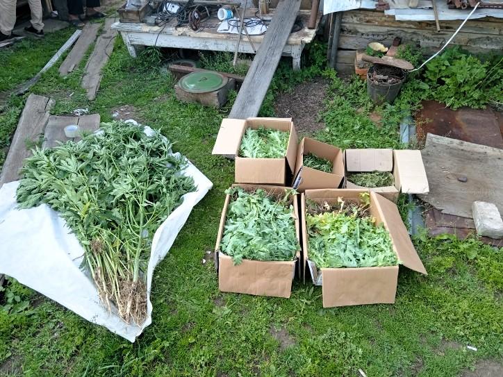 Фото: администрация города Райчихинск