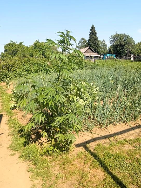 Фото: администрация города Райчихинск