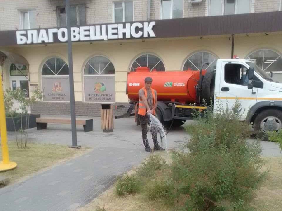 Полив растений