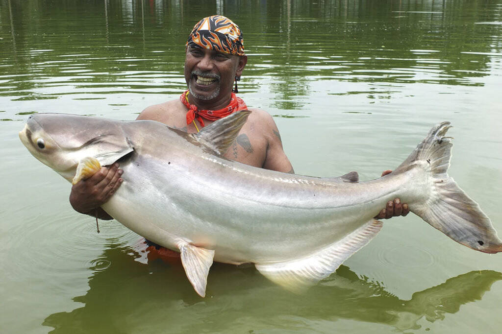 вредная еда, сама вредная еда, топ вредной еды, почему еда вредная, какая еда вредная