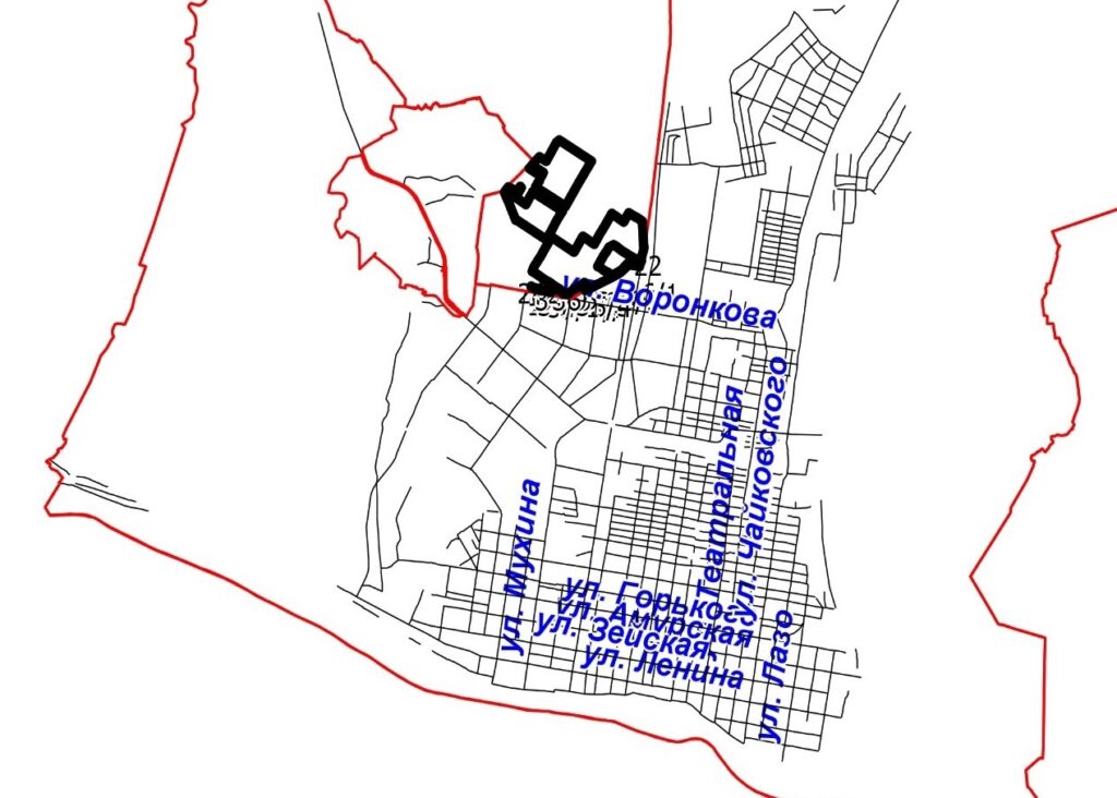 Фото: администрация Благовещенского округа