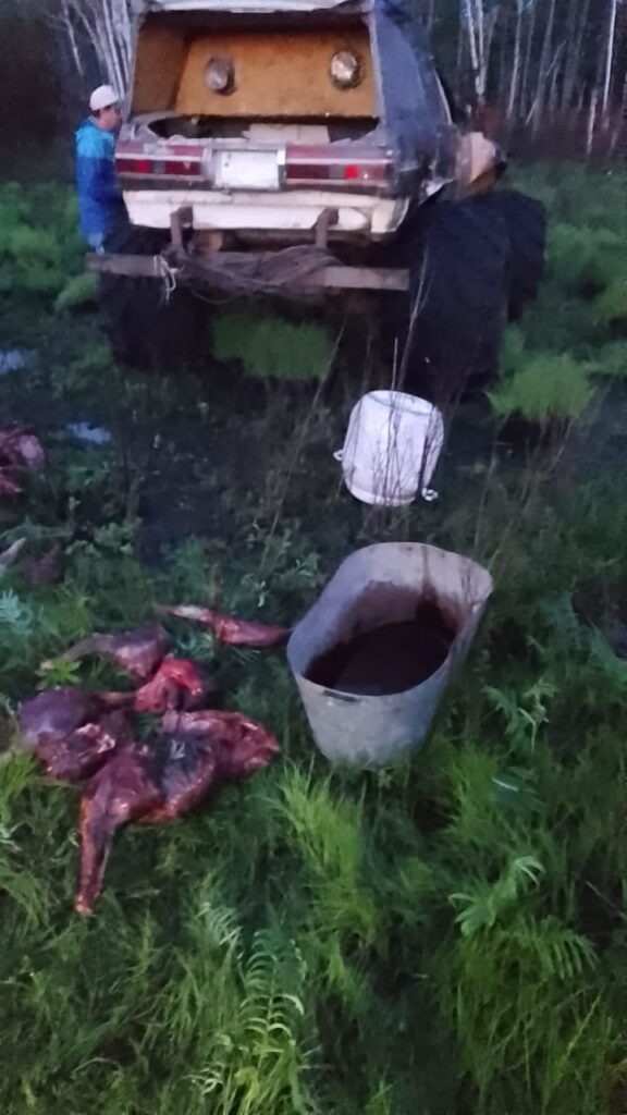 Застряли в болоте: погоня в Мазановском районе завершилась неудачей для убегавших