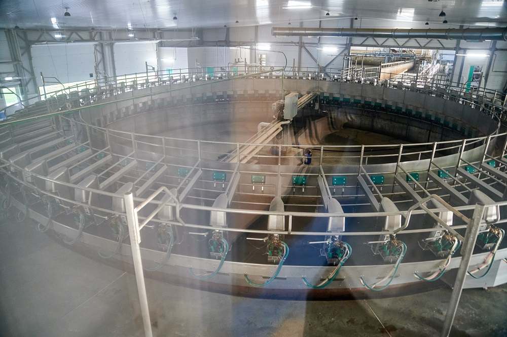 животноводческое предприятие АО «Луч», визит министра сельского хозяйства