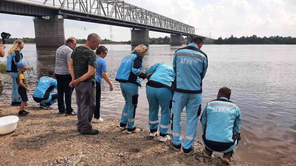 Выпуск мальков амурского осетра
