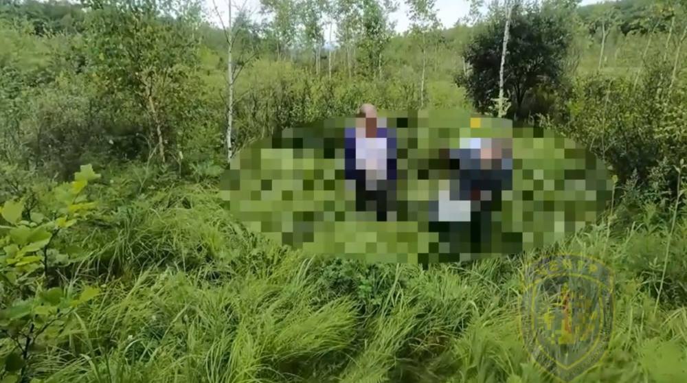 Заблудившихся амурских грибников помогла спасти линия электропередач