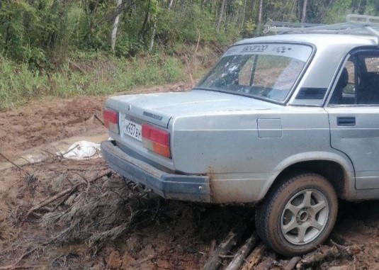 В Благовещенске грибник-автолюбитель попал в беду, но так и не дождался помощи