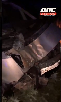 ДТП с трагичным исходом: в Приамурье лошадь выскочила под колеса автомобиля