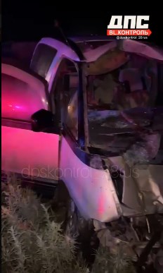 ДТП с трагичным исходом: в Приамурье лошадь выскочила под колеса автомобиля