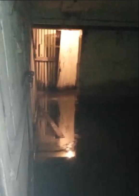 Фото: Амур.инфо