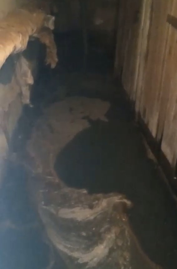 Фото: Амур.инфо