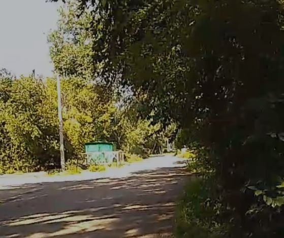 Фото: Амур.инфо