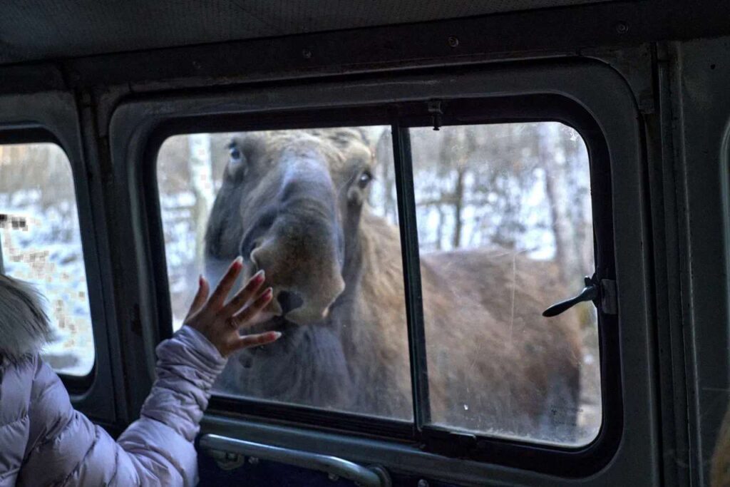 Фото: правительство Амурской области