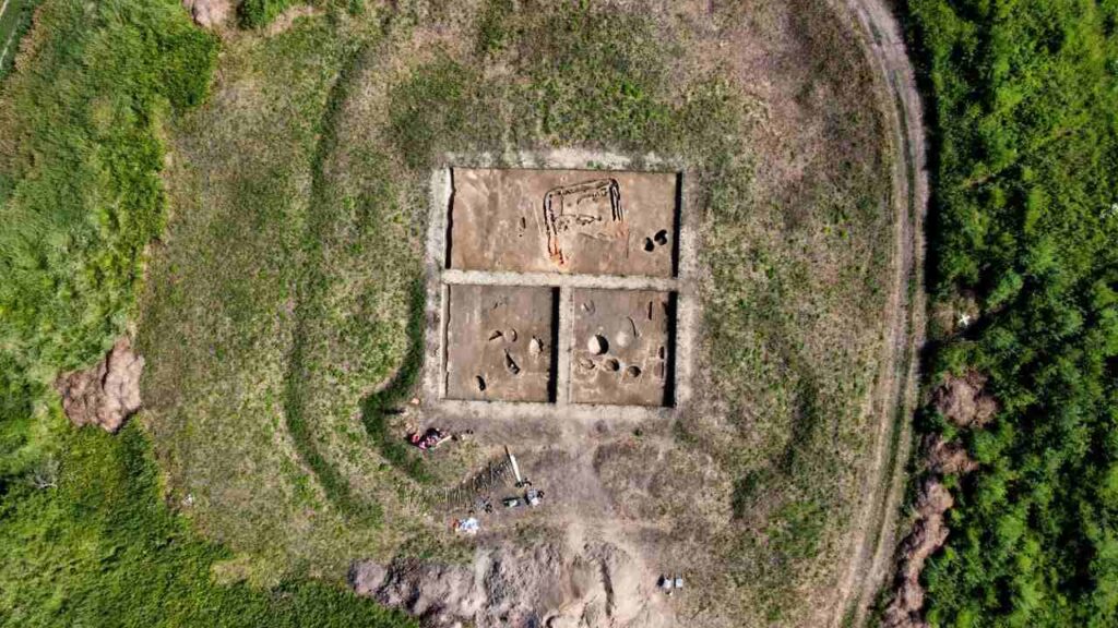 археологические раскопы, День археолога