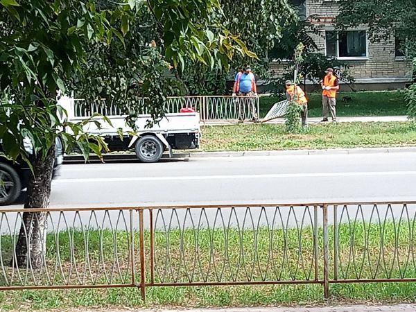 Благовещенцы обеспокоены: на одной из улиц областной столицы спиливают ограждение